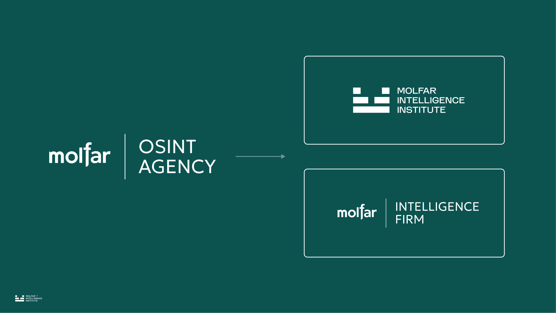 Запускаємо Molfar Intelligence Institute